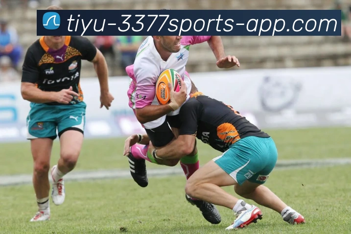 多媒体互动体验